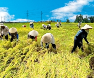 Bảo hiểm Nông Nghiệp